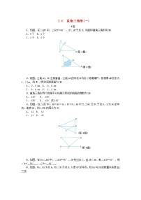 浙教版八年级上册2.6 直角三角形学案