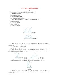 初中数学浙教版八年级上册2.8 直角三角形全等的判定学案