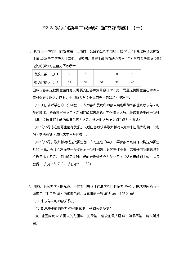 人教版九年级上册 22.3 实际问题与二次函数（解答题专练）-数学把关提分类专练（一）01