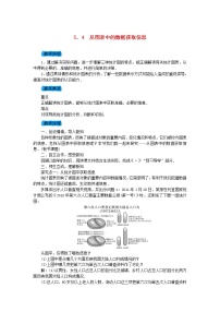 沪科版七年级上册5.4 从图表中的数据获取信息教案及反思