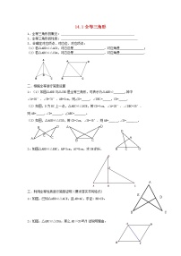 数学沪科版14.1  全等三角形学案设计