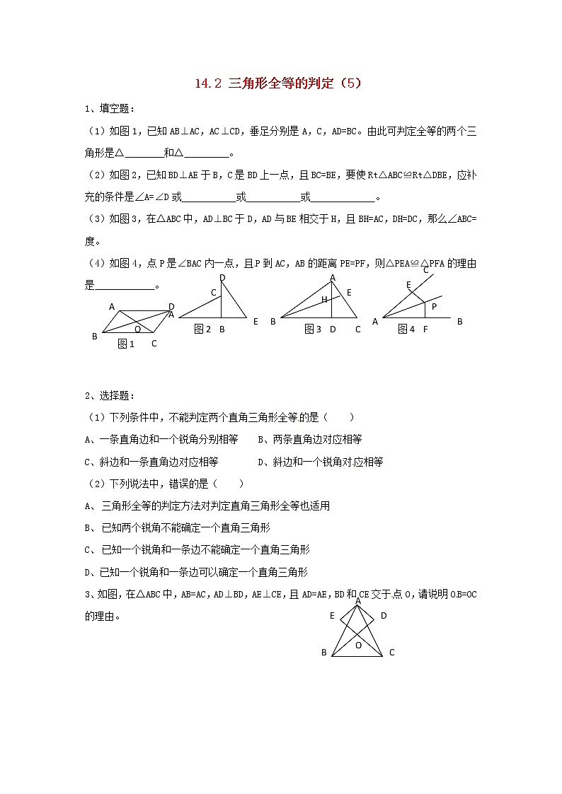 2020年沪科版八年级数学上册 14.2 三角形全等的判定（5）作业本(无答案) 练习01