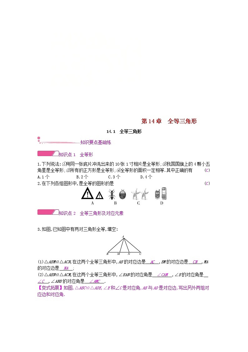 2020年沪科版八年级数学上册14.1全等三角形 作业本（含答案）第1页