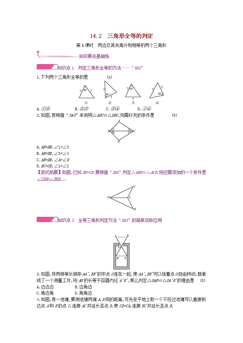 沪科版八年级数学上册14.2三角形全等的判定第1课时两边及其夹角分别相等的两个三角形 作业本（含答案） 练习01