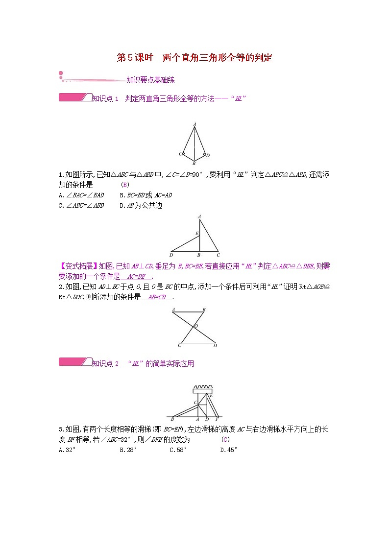 沪科版八年级数学上册14.2三角形全等的判定第5课时两个直角三角形全等的判定 作业本（含答案） 练习01