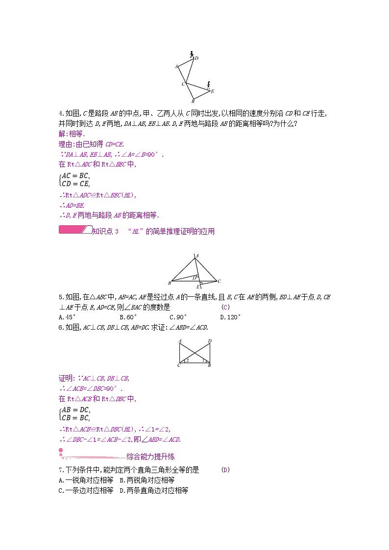 沪科版八年级数学上册14.2三角形全等的判定第5课时两个直角三角形全等的判定 作业本（含答案） 练习02