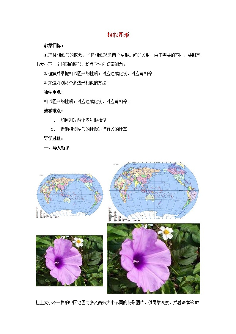 2020年华东师大版九年级数学上册23.2相似图形 教案01