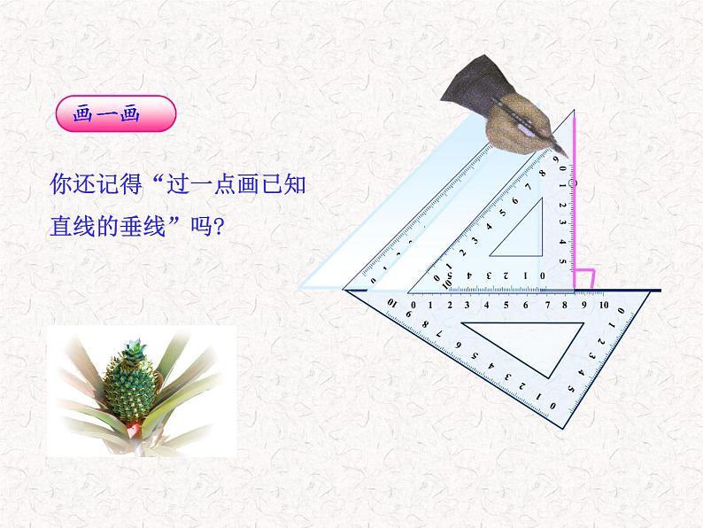 初中数学精品教学课件：11.1.2三角形的高、中线与角平分线、三角形的稳定性（人教版八年级上册）03