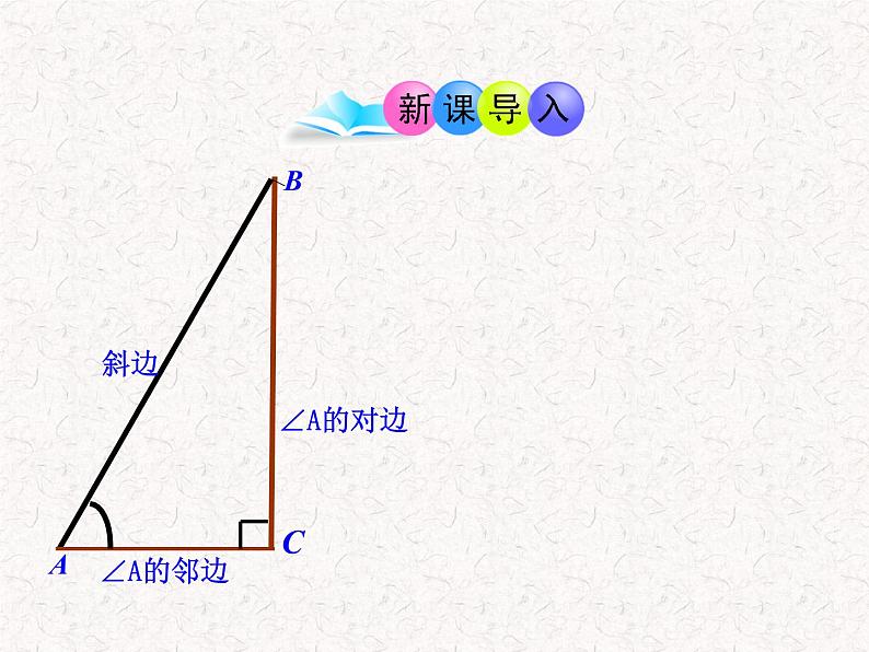 初中数学教学课件：28.1锐角三角函数第3课时（人教版九年级下）03
