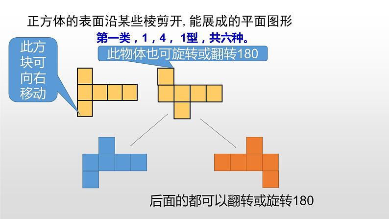 七年级北师大版上学期期中考试复习08