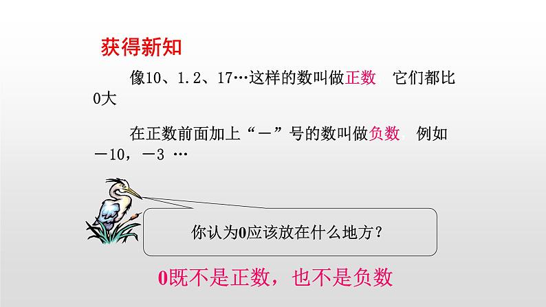 北师大七年级数学上册：2.1   有理数 课件08