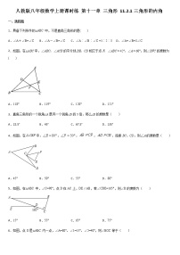 初中数学人教版八年级上册11.2.1 三角形的内角习题