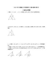 数学八年级上册第十一章 三角形综合与测试练习题