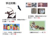 北师大版数学七年级上册2.1 有理数_课件