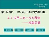 5.3  应用二元一次方程组——鸡兔同笼 课件