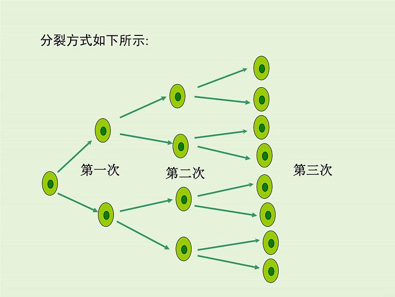 2.11 有理数的乘方  PPT课件05