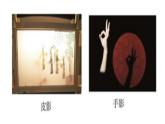 北师大版九年级数学上册课件 5.1平行投影第1课时共16张ppt