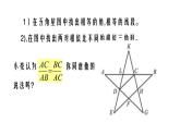 北师大版九年级数学上册课件 4.4.4 探索三角形相似的条件25张PPT