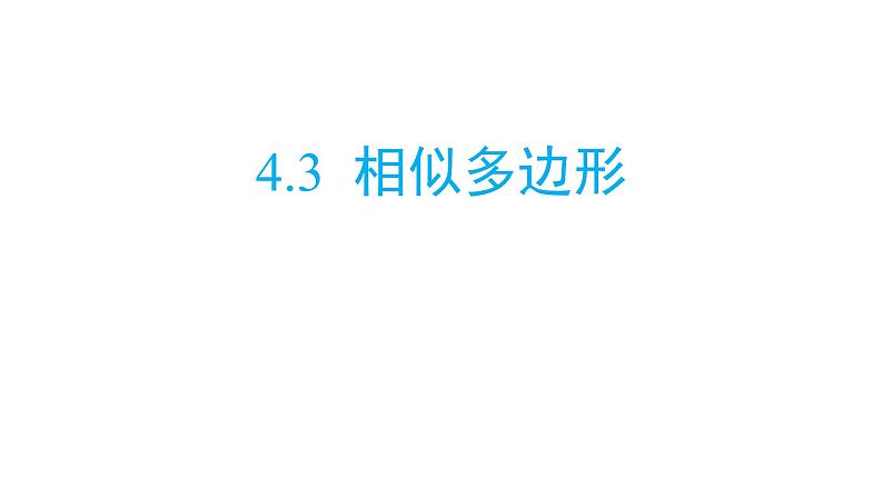 北师大版九年级数学上册课件 4.3  相似多边形13张PPT01