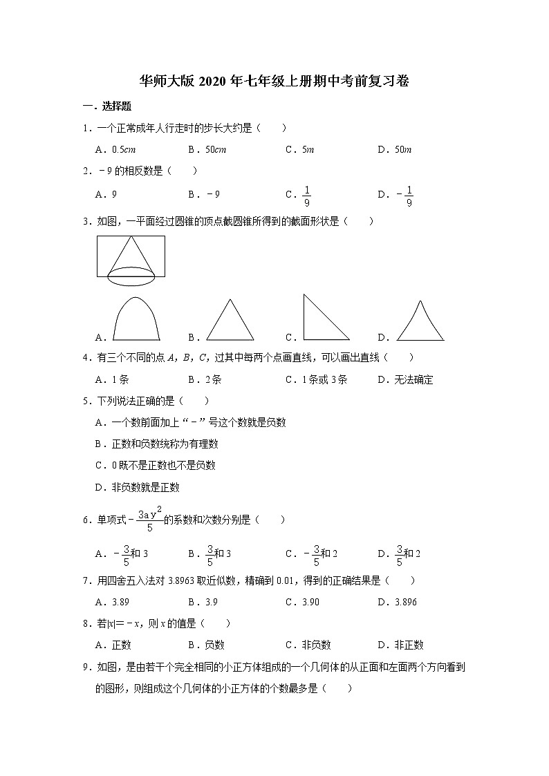 华师大版2020年七年级上册期中考前复习卷   解析版01