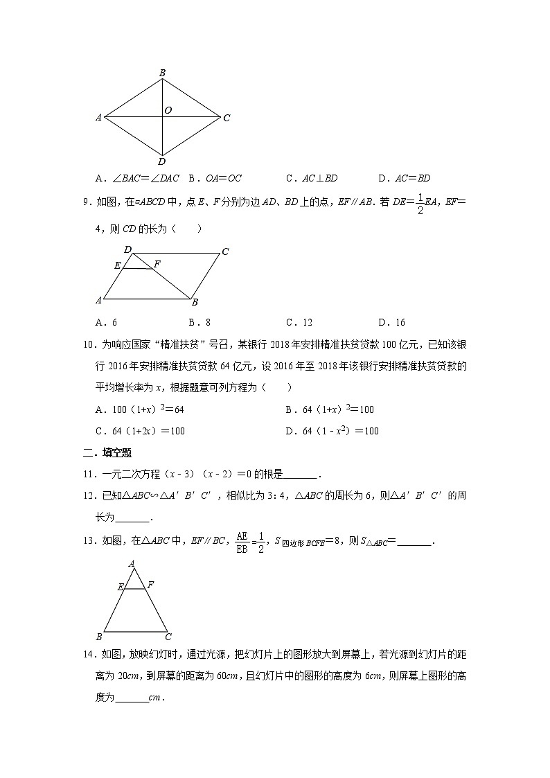 北师大版2020年九年级上册期中复习训练题  解析版02