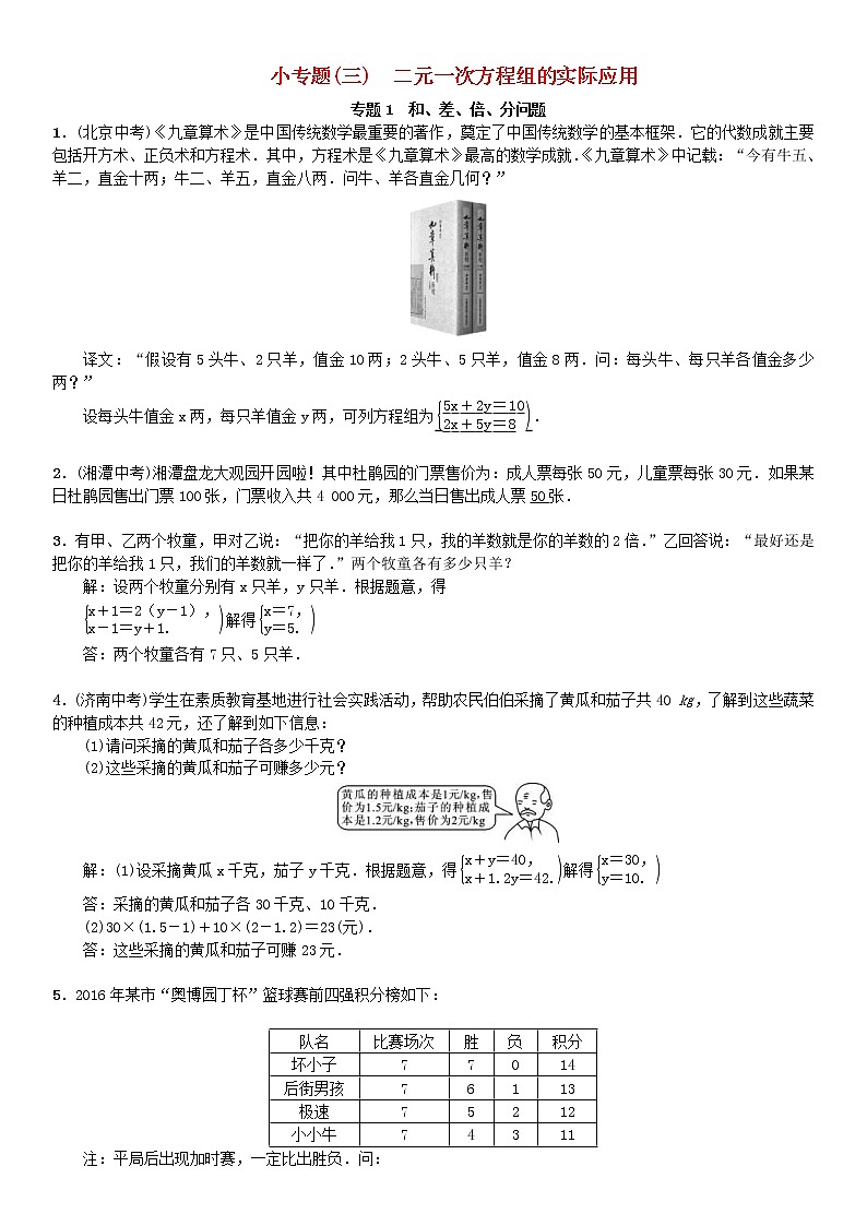 人教版2021年七年级数学下册 小专题《二元一次方程组的实际应用》习题(含答案)01