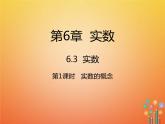 人教版2021年七年级数学下册6.3.1《实数的概念》课件(含答案)