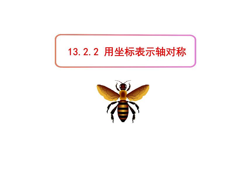 人教版八年级上册 13.2.2用坐标表示轴对称 课件第1页