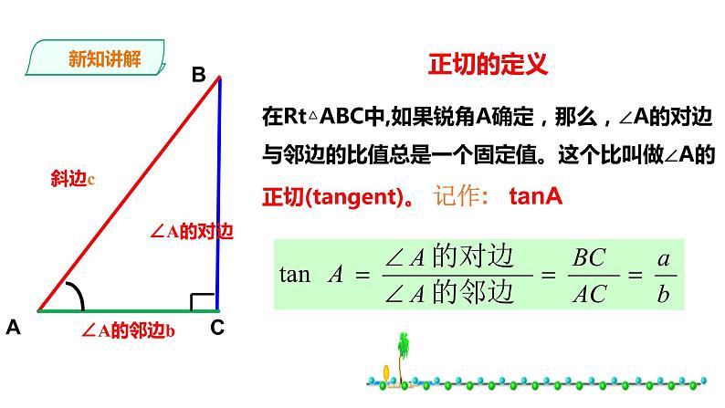 23.1.1 锐角的三角函数 第1课时 课件第7页