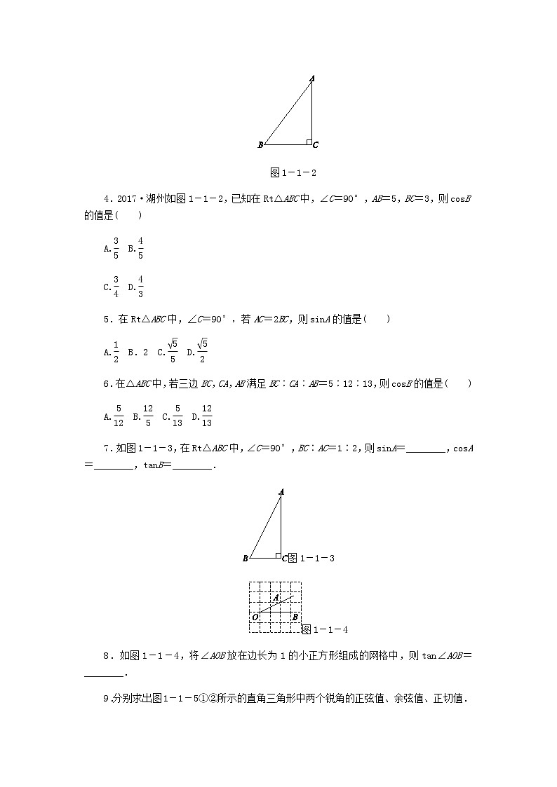 浙教版九年级数学下册 1.1锐角三角函数第1课时锐角三角函数的概念同步练习02