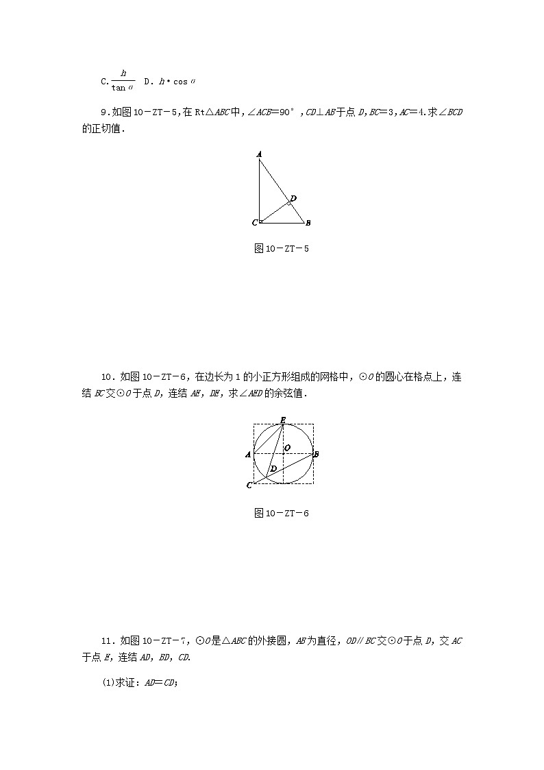 浙教版九年级数学下册第1章解直角三角形专题训练求锐角三角函数的方法归类03