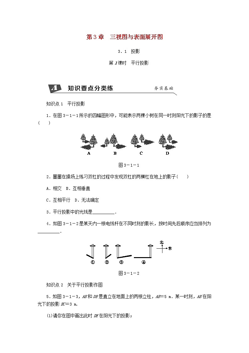 浙教版九年级数学下册 3.1投影第1课时平行投影同步练习01