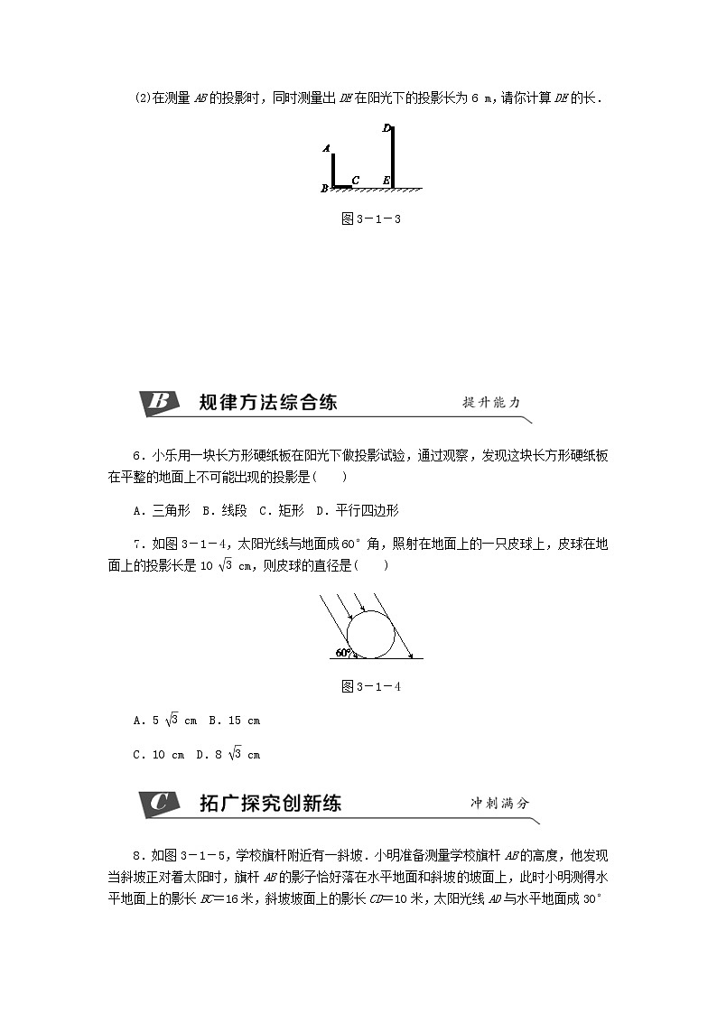浙教版九年级数学下册 3.1投影第1课时平行投影同步练习02