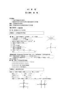 初中数学湘教版七年级下册第4章 相交线与平行线4.5 垂线第1课时学案