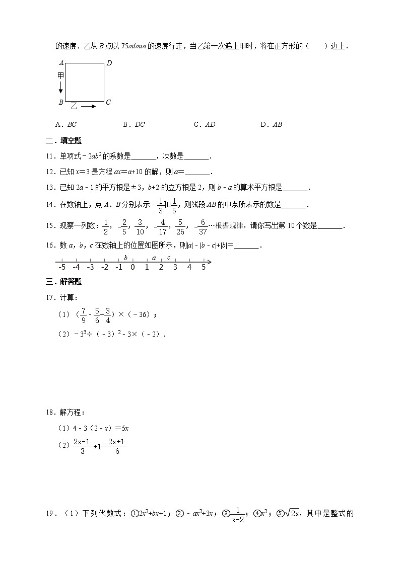 浙教版七年级上册阶段复习训练卷   解析版02