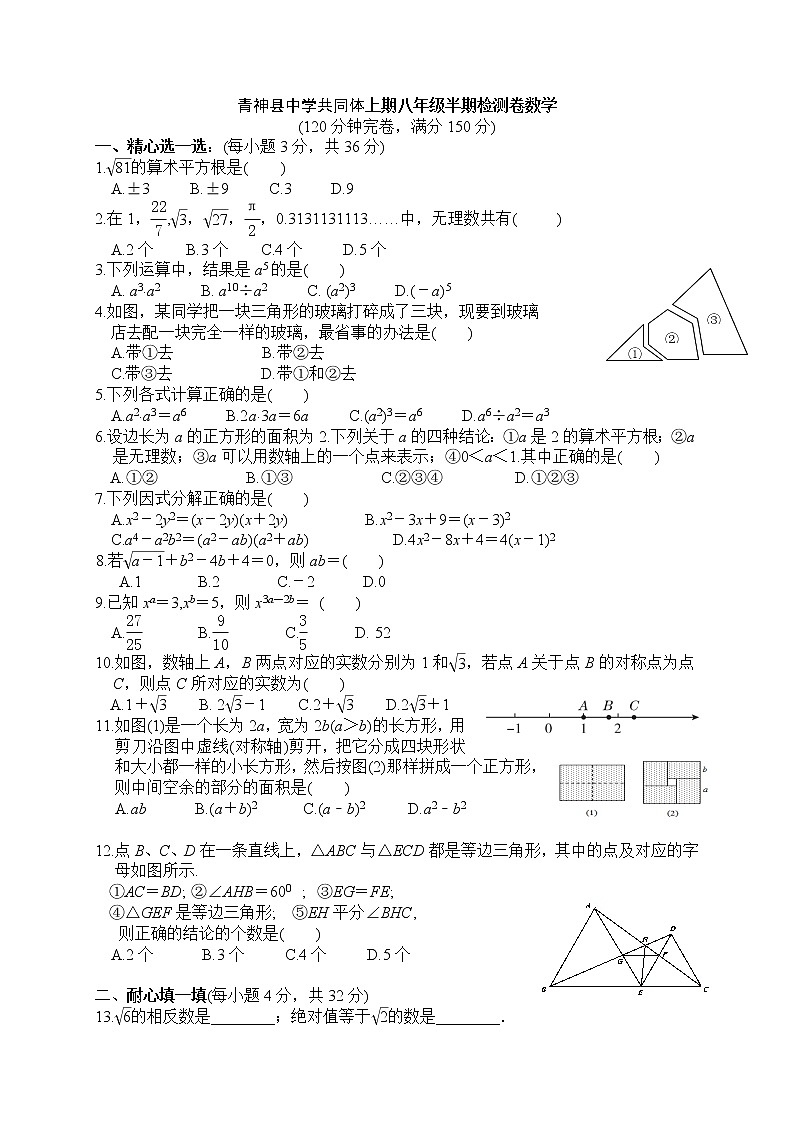 四川省青神县中学共同体2020--2021学年上期八年级半期检测卷数学（无答案）01