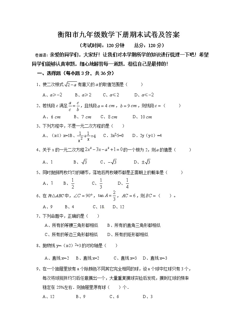 衡阳市九年级数学下册期末试卷及答案01
