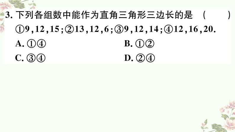 北师大版八年级上册数学期末复习检测03