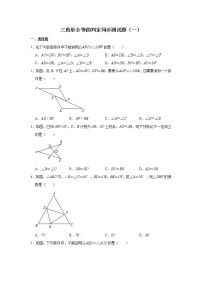 人教版八年级上册12.2 三角形全等的判定优秀复习练习题