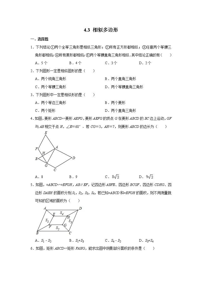 北师大版九年级数学上册《4.3 相似多边形》 同步练习01