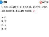 北师大版九年级期末复习 上册期末数学模拟试题课件