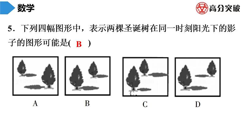 北师大版九年级期末复习 上册期末数学模拟试题课件06