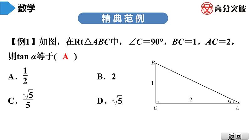 北师大版九年级课堂教本下册　第1章　第1课时　锐角三角函数(1) 课件04