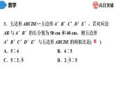 北師大版九年級(jí)作業(yè)課時(shí)上冊(cè)　第4章　第4課時(shí)　相似多邊形 課件