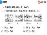 北师大版九年级作业课时上册　第4章　第13课时　图形的位似(1) 课件