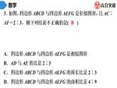北师大版九年级作业课时上册　第4章　第13课时　图形的位似(1) 课件