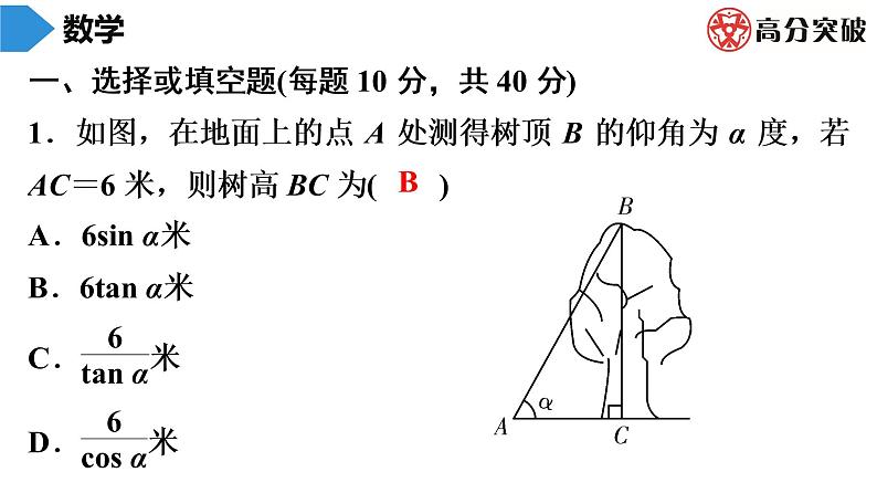 北师大版九年级作业课时下册　第1章　第7课时　利用三角函数测高 课件02