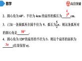 北師大版九年級(jí)作業(yè)課時(shí)下冊(cè)　第3章　第11課時(shí)　弧長(zhǎng)及扇形的面積 課件