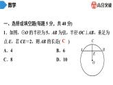 北师大版九年级核心知识循环链  (下)第6周核心知识循环练 课件