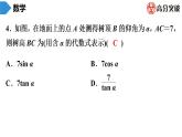 北师大版九年级核心知识循环链  (下)第2周核心知识循环练 课件